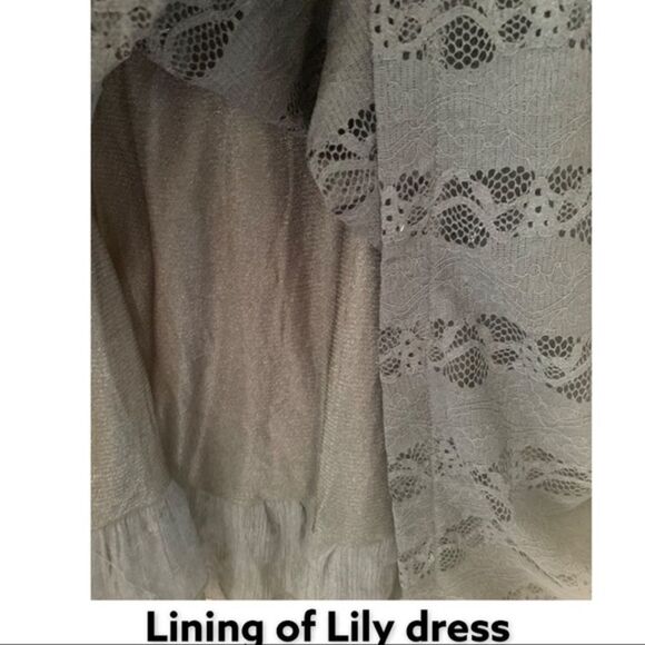 Lily Plus Size Black Lacy Tunic/Dress - Picture 5 of 11